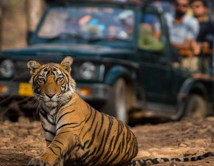 Rajasthan Wildlife Tour